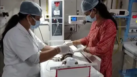 Infant Placed Alive in the Country Struggles for Existence